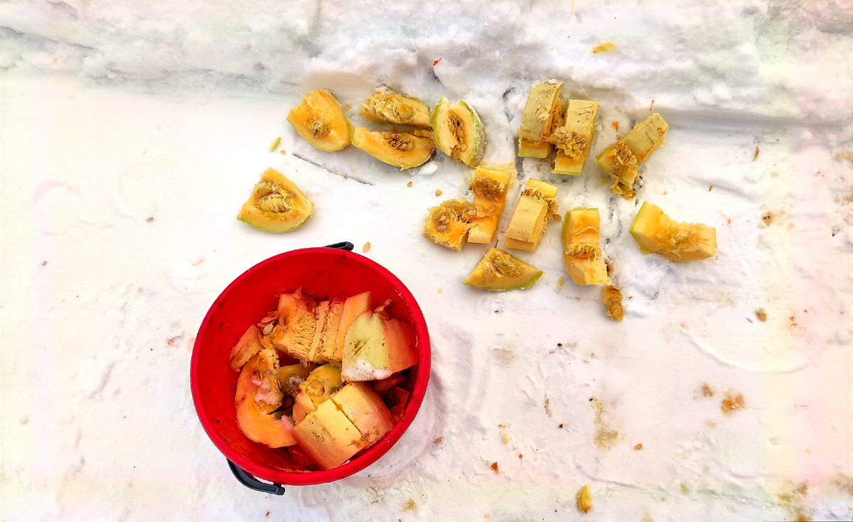 Надо отдать должное, кабачки хорошо сохранились, а ведь уже середина января.