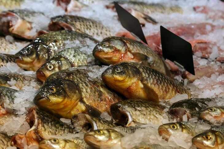    Фото из архива VN.ru