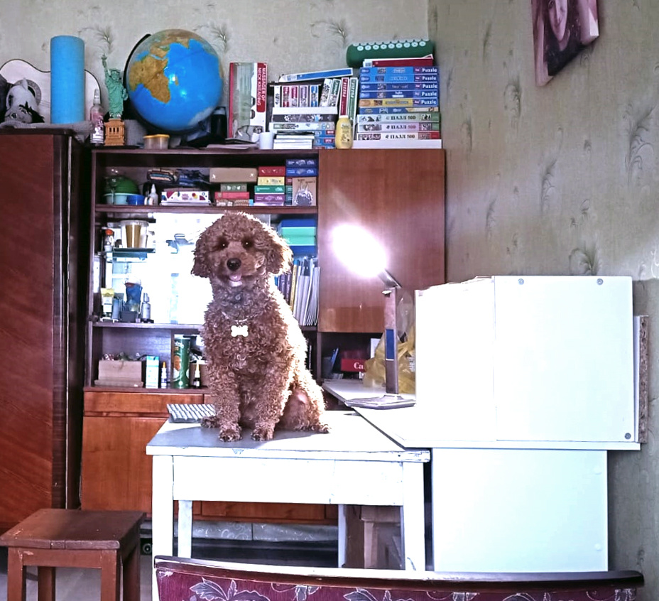 Румпель: - Ну почему же "для уроков", я на нём сидел.