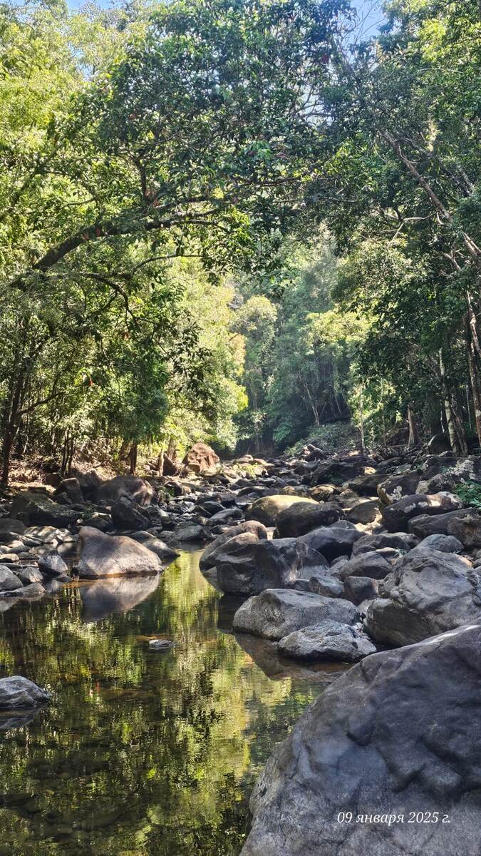 Вид с тропы