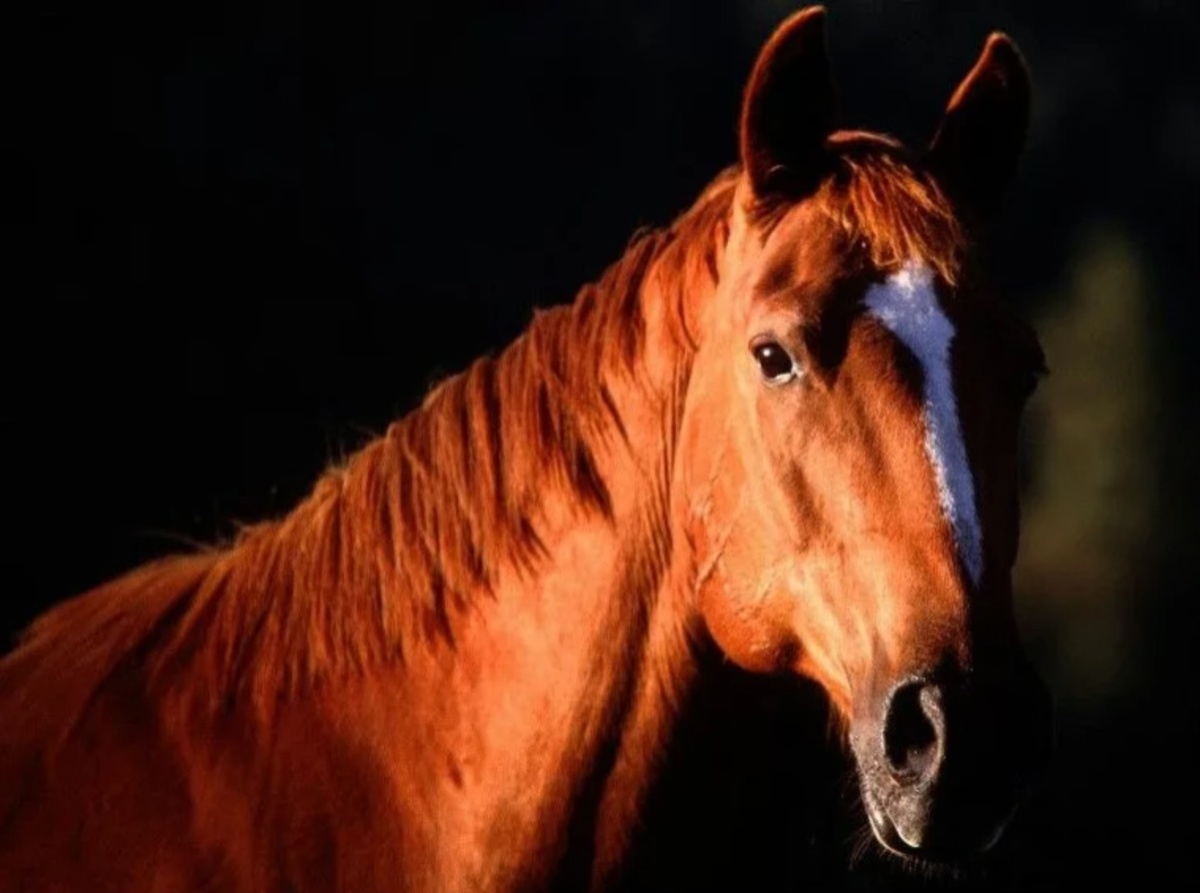 Картинка из интернета 