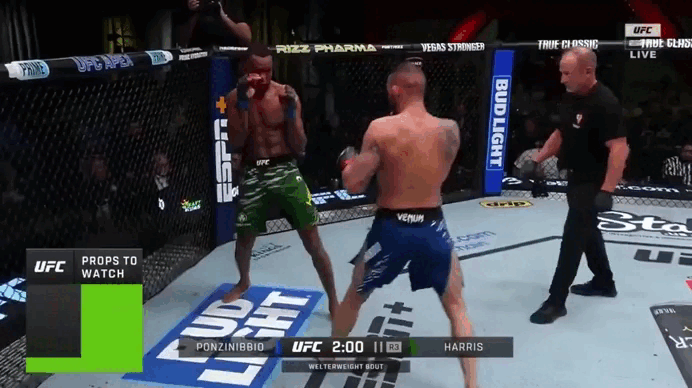 Сантьяго Понзиниббио побеждает техническим нокаутом