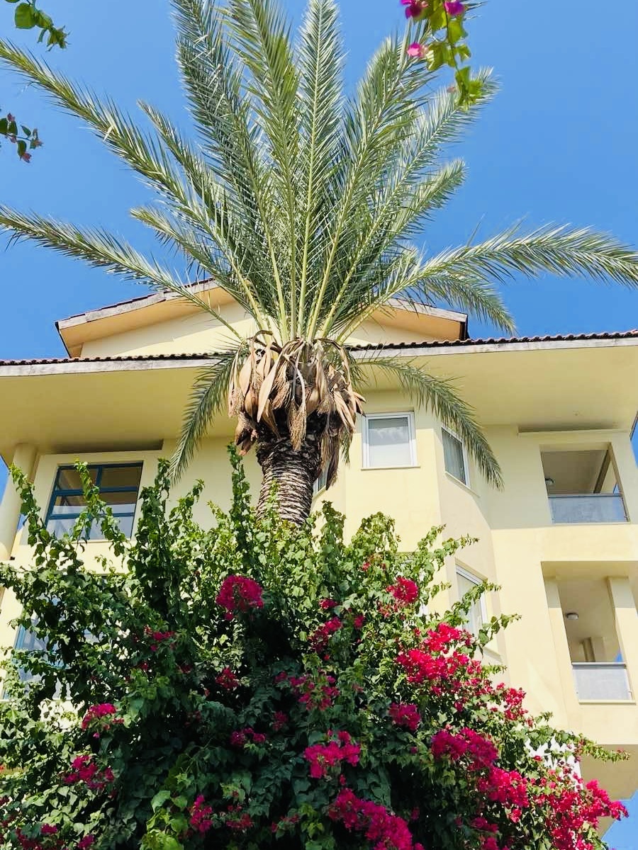 Queen's Park Le Jardin 5*