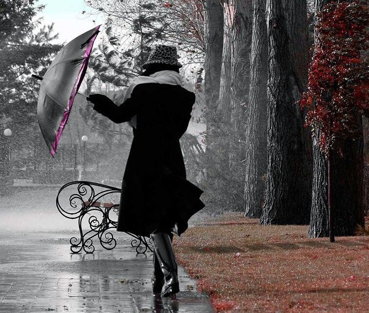 Изменение сайт картинки https://goo.su/DFfrw5p