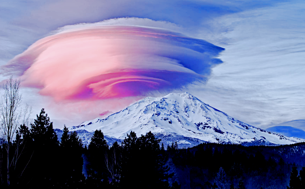 Снимок: uleoparda.ru