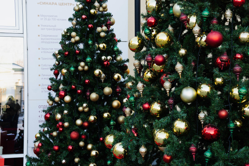    Фото: Anastasia Sorgina/URA.RU/Globallookpress