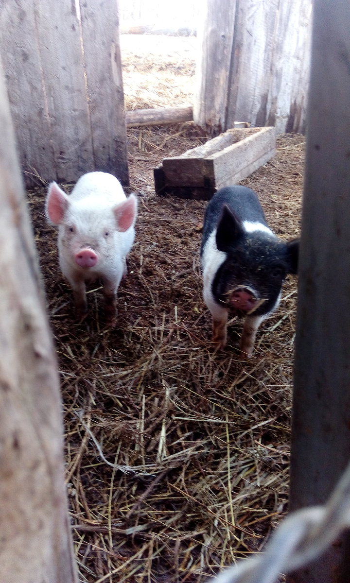 Любители играть в прятки, блин.