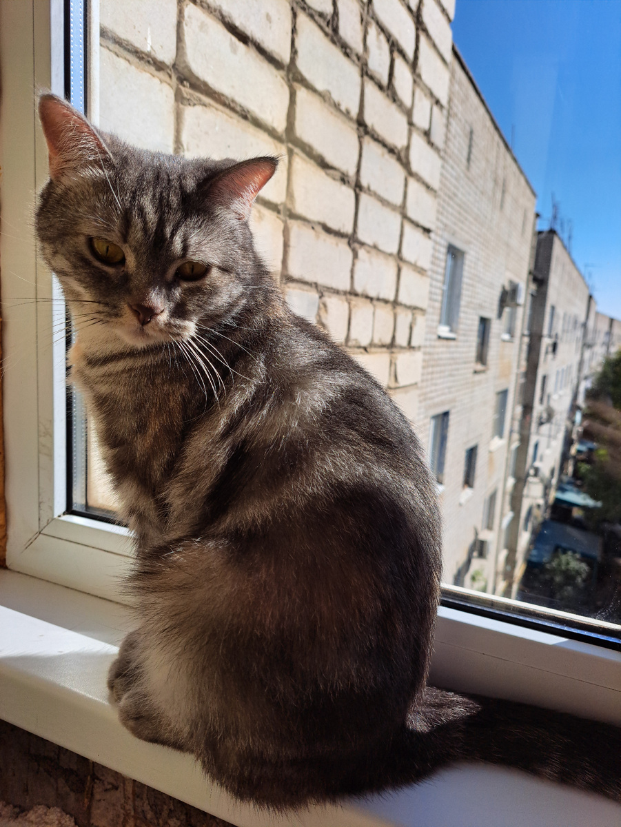 Сижу высоко, гляжу далеко. Соня