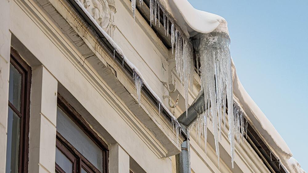    Фото: Andrey Titov/globallookpress.com