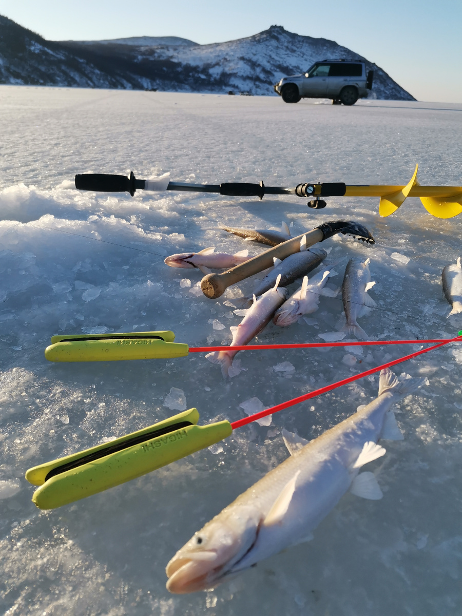 Корюшка. бухта Нагаева, удочки Higashi, ледобур "Байкал".