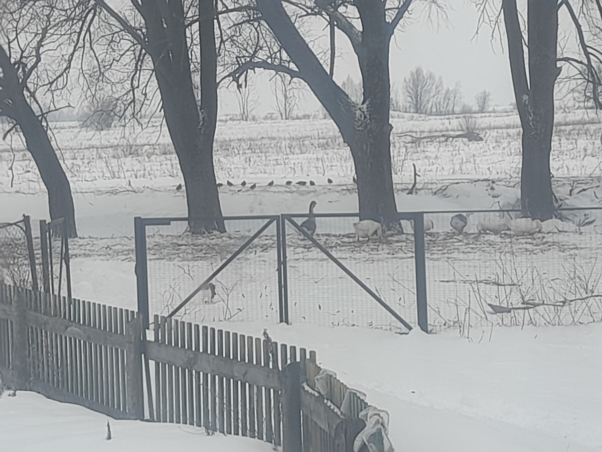 Фото сделано 24.01.2024.