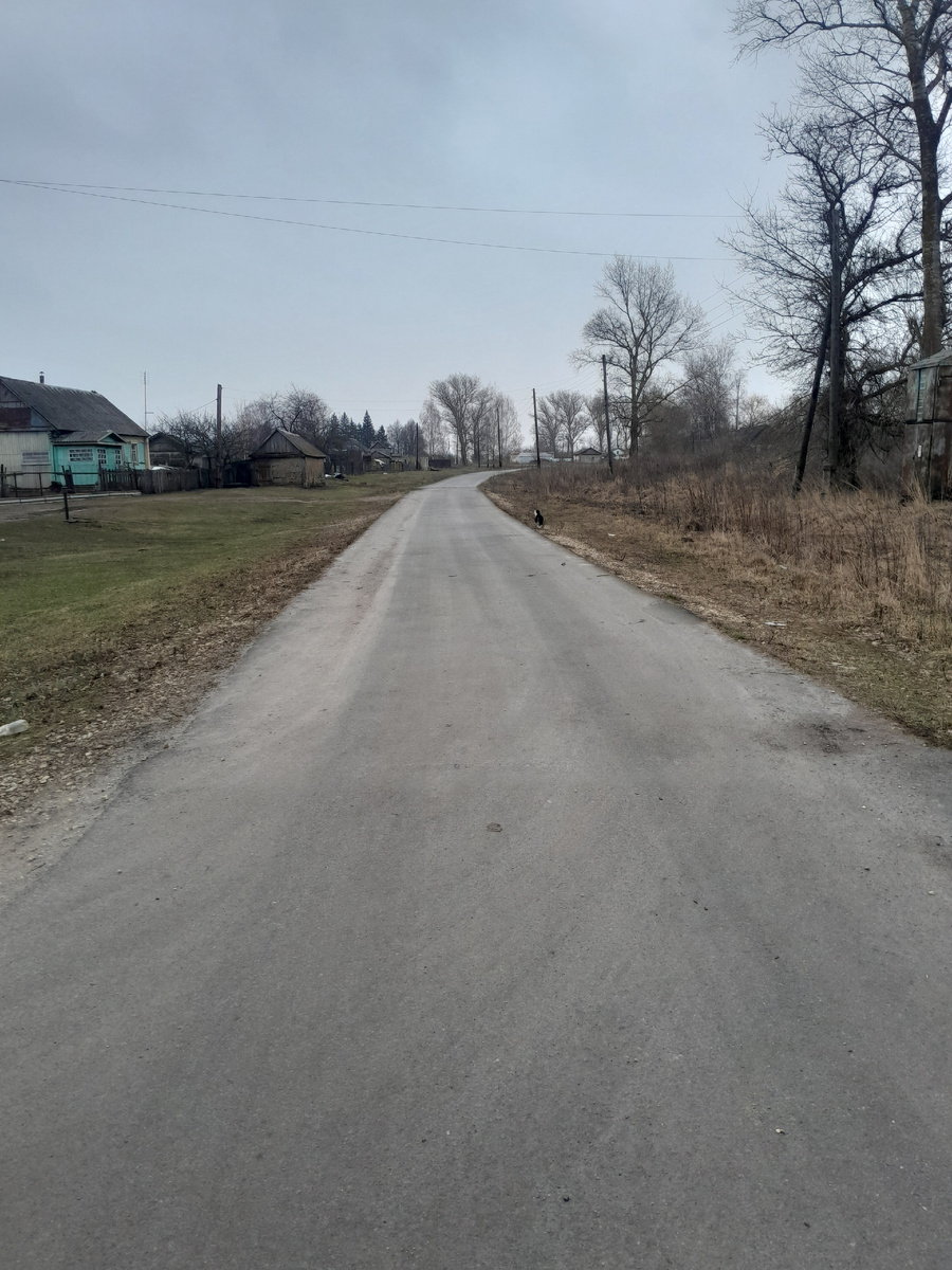 Фото сделано 22.01.25.