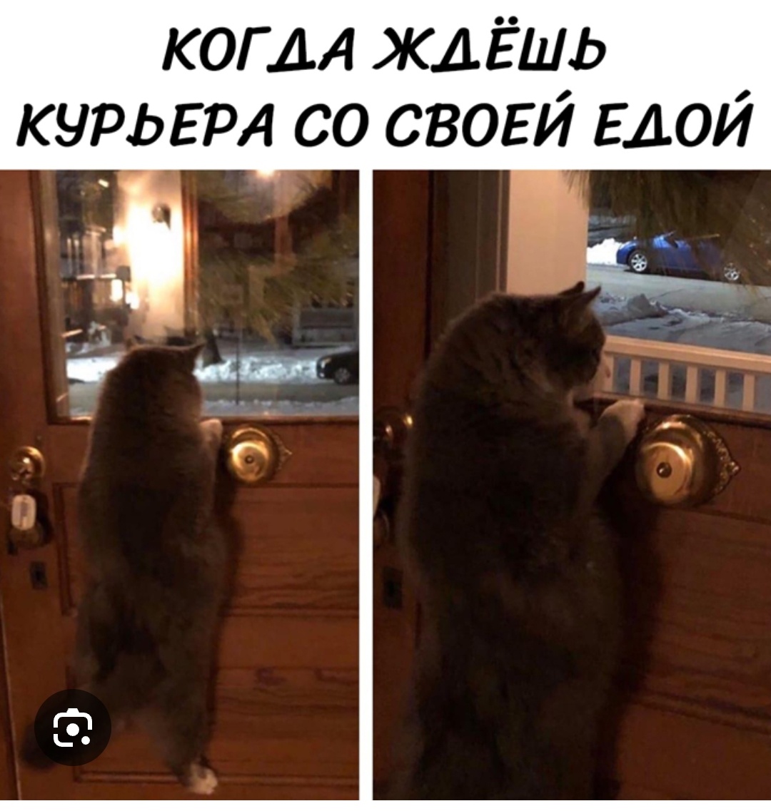 Заказ пиццы - моя слабость. Фото взято с просторов Интернета. 