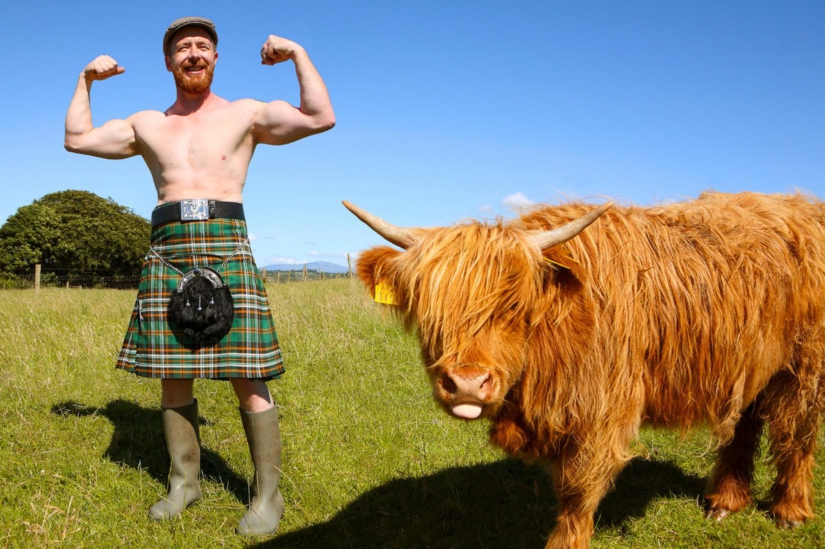 Изображение взято из Интернета.