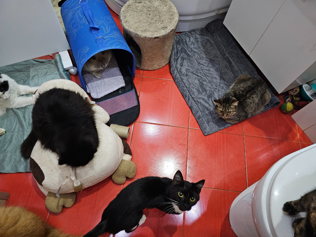 Фото автора.