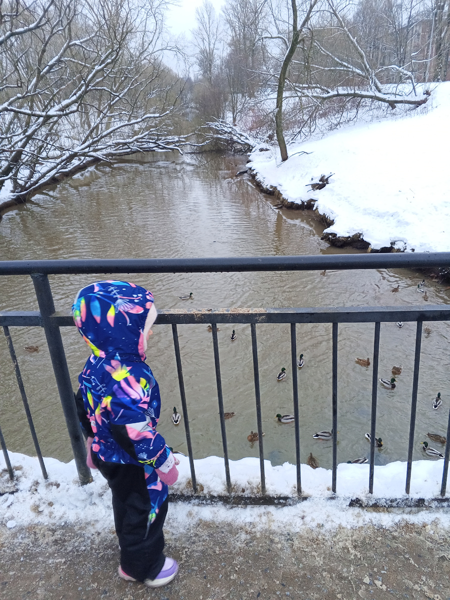 Р. Оккервиль.