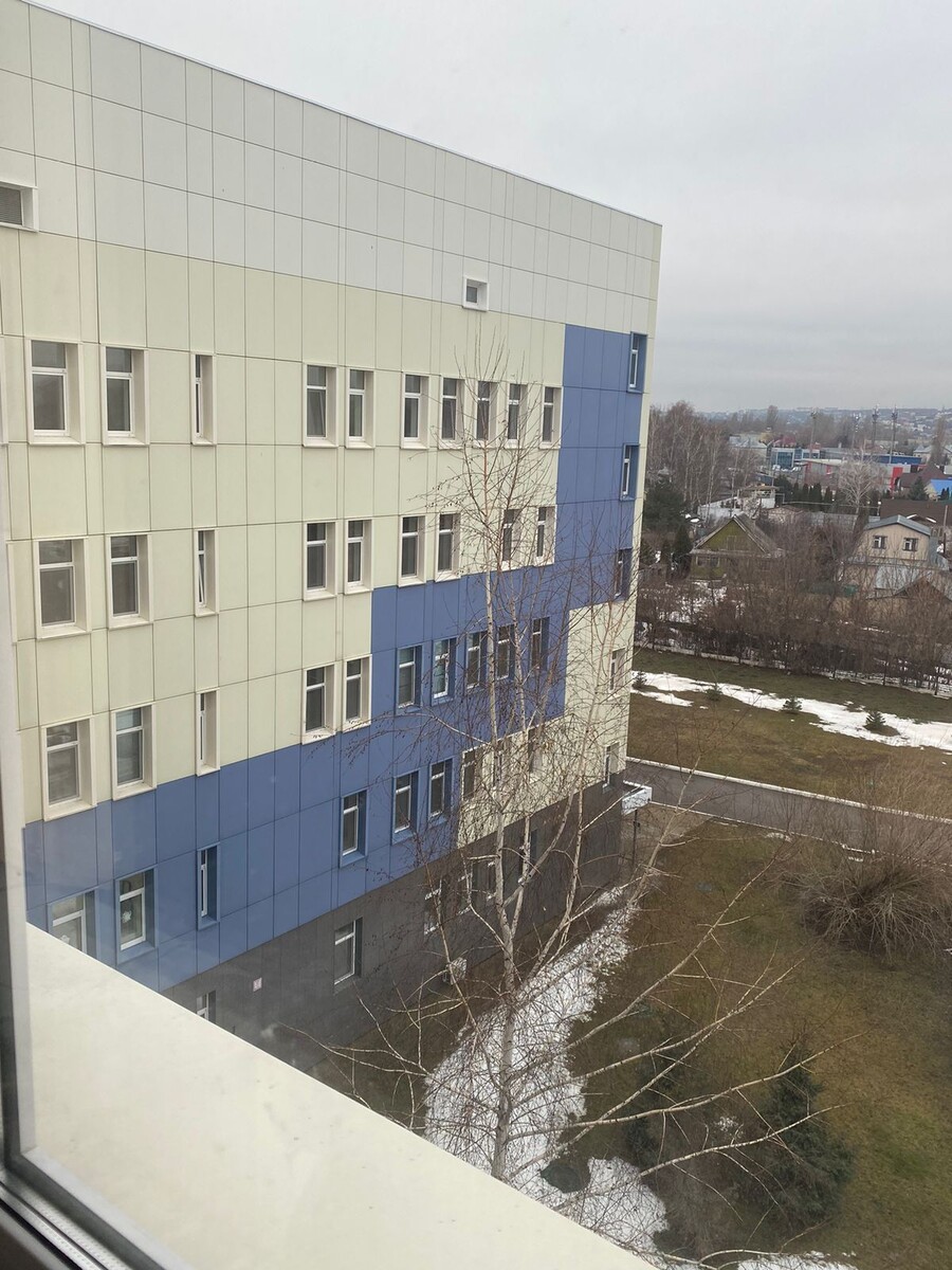 Эля из окна палаты фото делала.