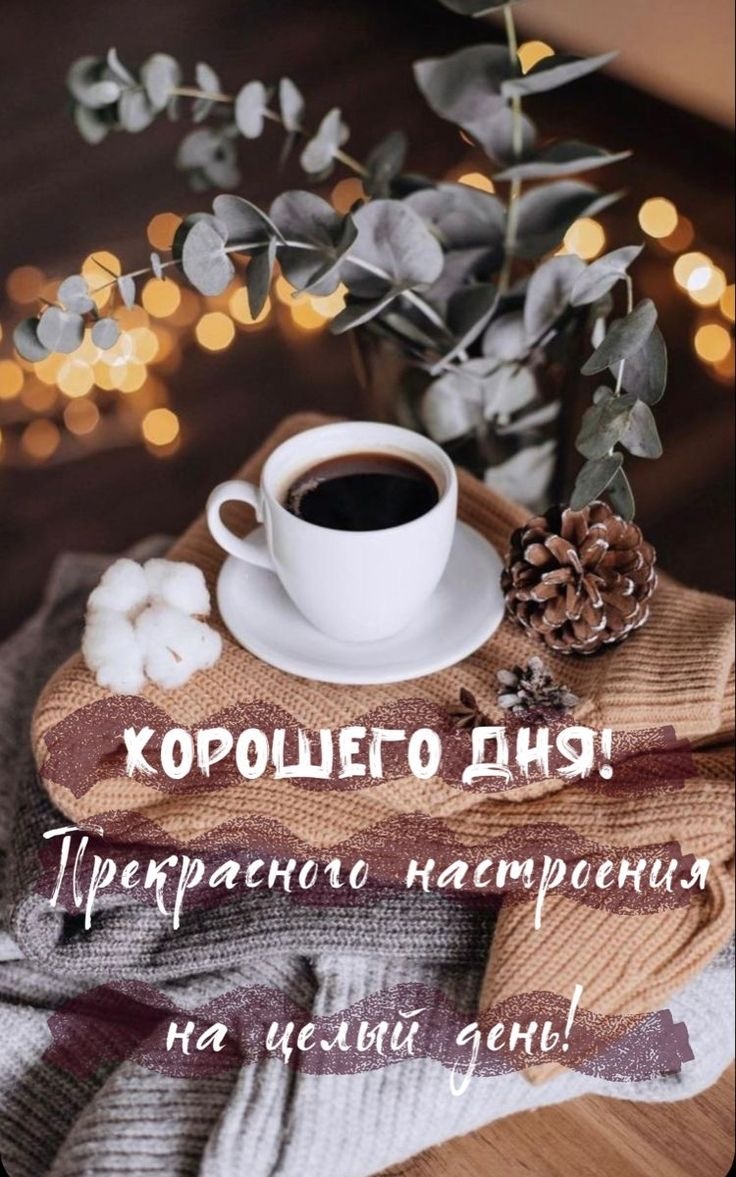 Картинка из сети Интернет