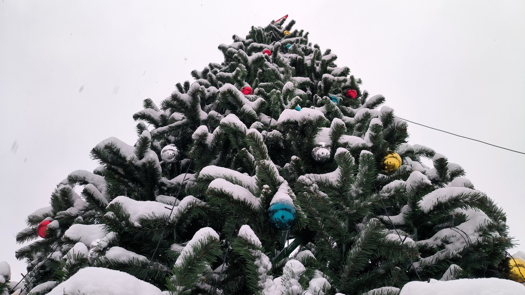    Maksim Konstantinov/Globallookpress