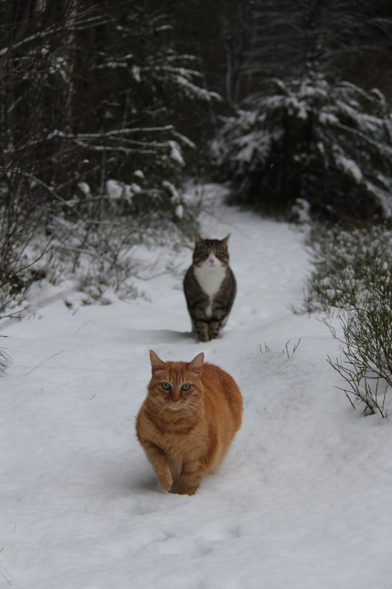 Мотя, пошли, я тебя домой отведу.