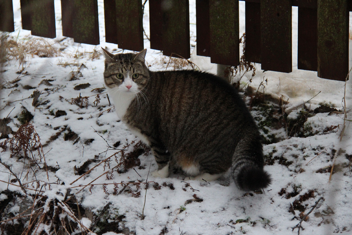 Пусть мама увидит, пусть мама придет! Пусть мама меня непременно найдет!