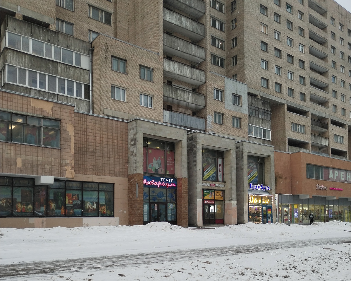 г. САНКТ-ПЕТЕРБУРГ, ГРАЖДАНКА, из личных фото автора Лидии Шатиловой