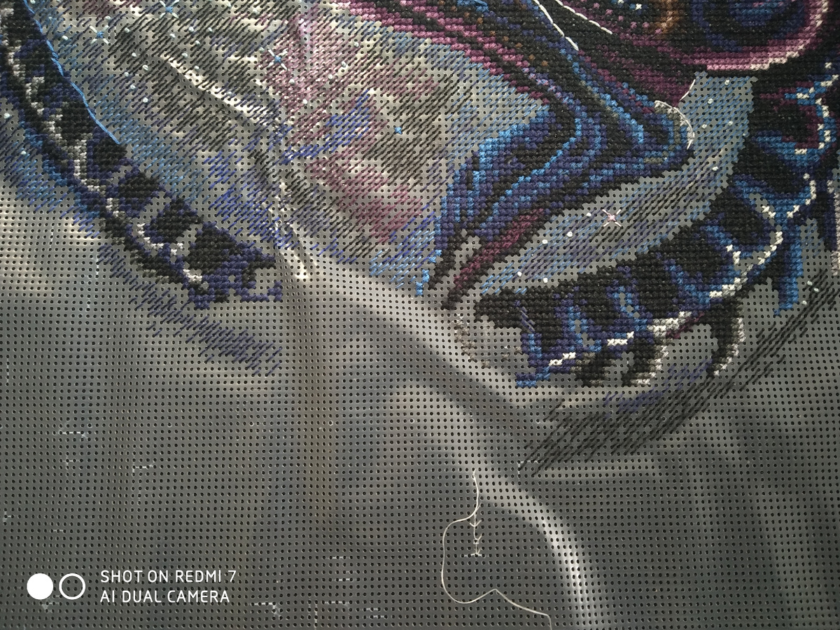 Те самые лапы и хвост