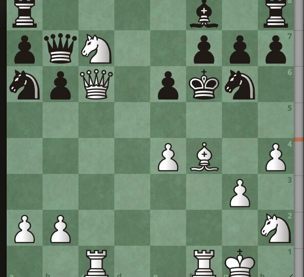 Некоторый шахматисты не видят элементарный мат в 1 ход