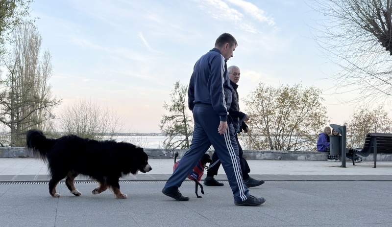    Фото: © Alexander Legky/Globallookpress