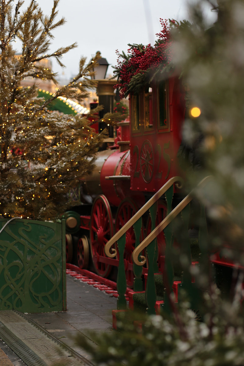 В поезд можно подняться. Фото автора 