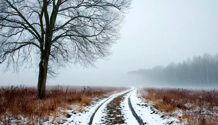 Туман 13 января — год будет урожайным. Фото: shedevrum.ai