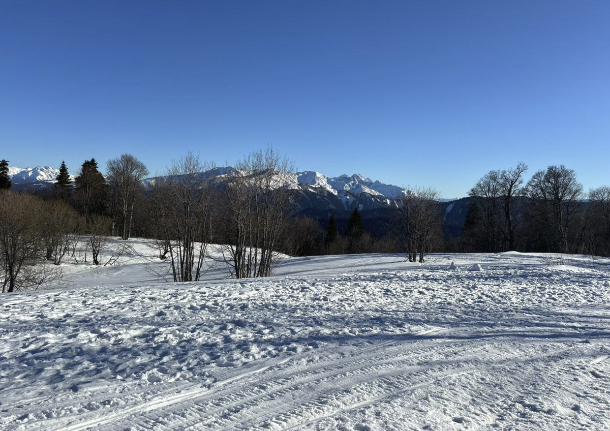 Фото © «Московская газета»