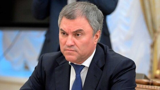    Володин исключил полный запрет видеоигр по новому закону Татьяна Сидорова