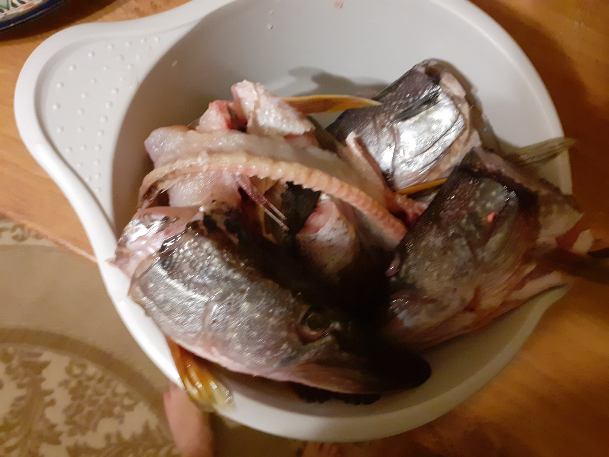 Остались головы и кости с хвостами