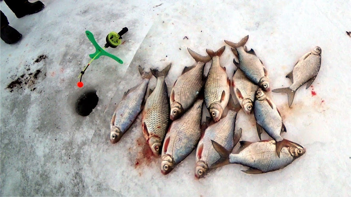 фото с сайта: https://i.ytimg.com/vi/uilWw4OcmZ0/maxresdefault.jpg