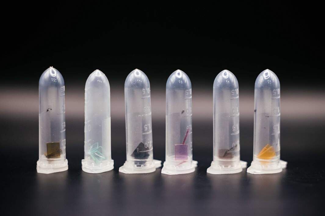 Фото: пресс-служба Томского политехнического университета
Фото: пресс-служба Томского политехнического университета
Фото: пресс-служба Томского политехнического университета
Фото: пресс-служба Томского политехнического университета
