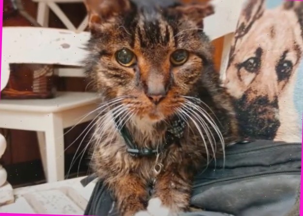 не те годы уже.