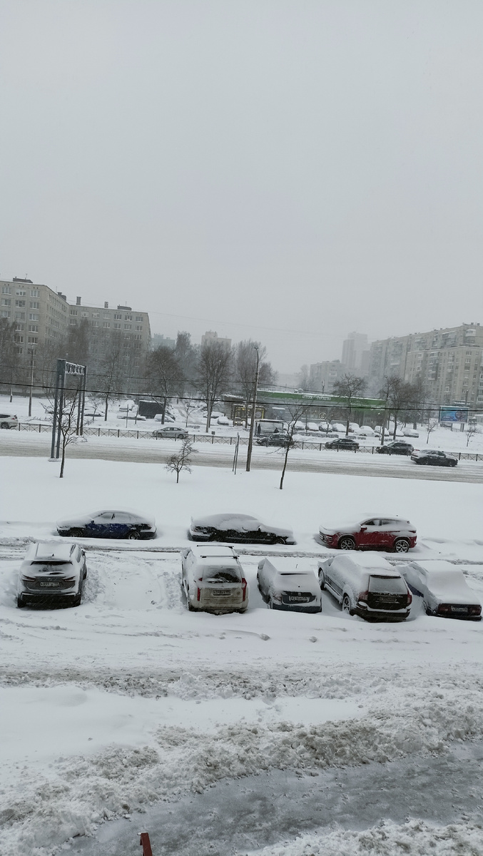 Фото автора. 11ч. СПб.