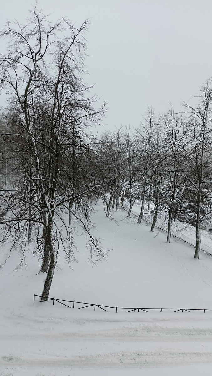 Фото автора. 11ч.СПб.