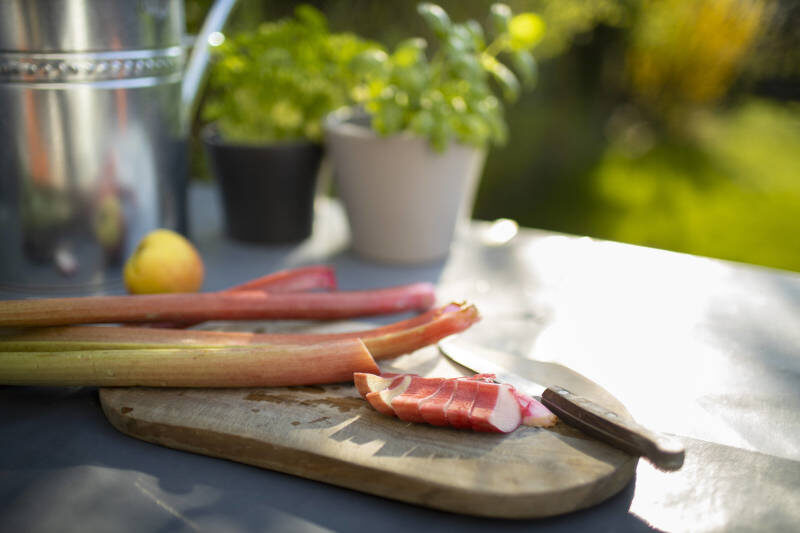    Фото: © Ute Grabowsky/photothek.net via/www.imago-images.de/Globallookpress