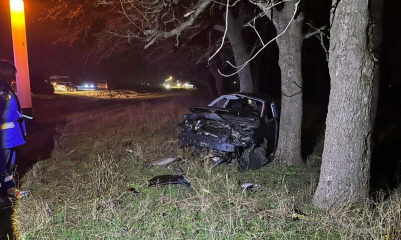    Фото t.me/gibdd123region