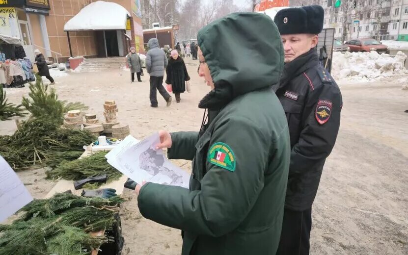   В Удмуртии провели операцию «Ель» для предотвращения незаконной вырубки деревьев