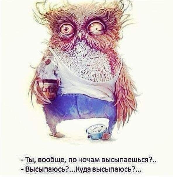 Вот эта картинка точно про меня