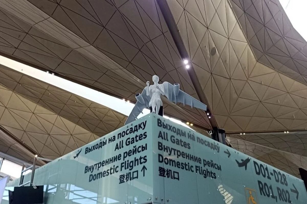    Очередь из самолётов образовалась в аэропорту Пулково из-за снегопадов