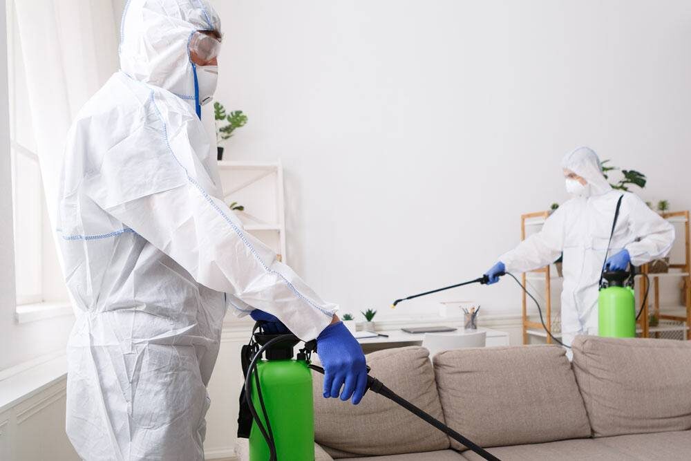 Дезинфекция клопов и тараканов у метро Ясенево: ваша защита от вредителей +7(966)165-65-87