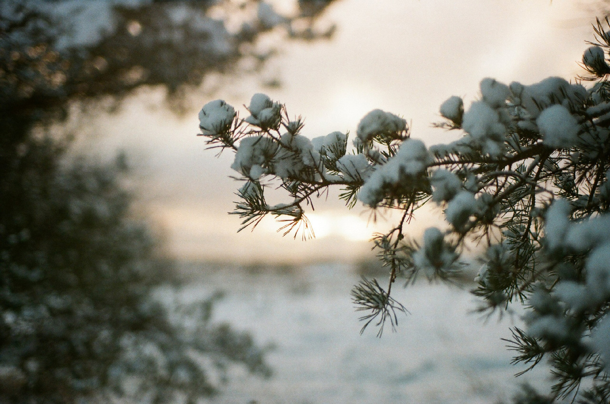 Фото: Владимир Гусаров