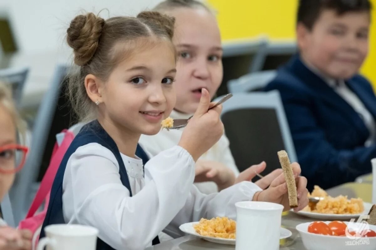    В школах Новочебоксарска снова подорожало питание