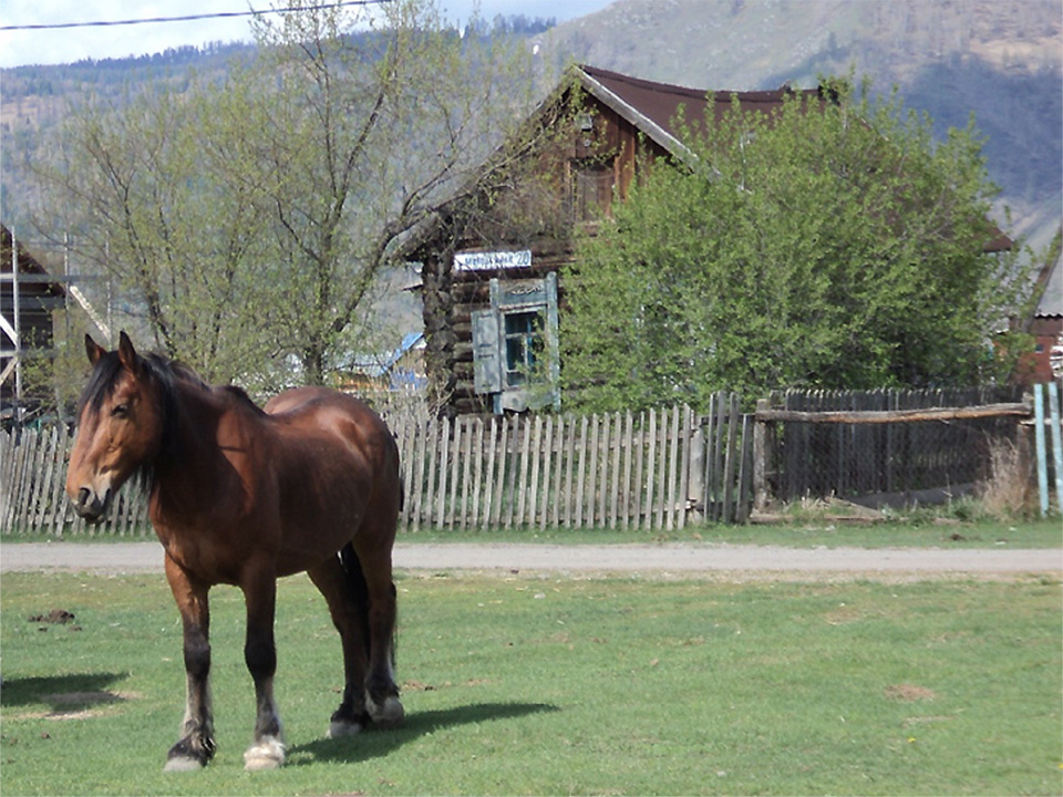 Домик Саши в Верх-Уймоне