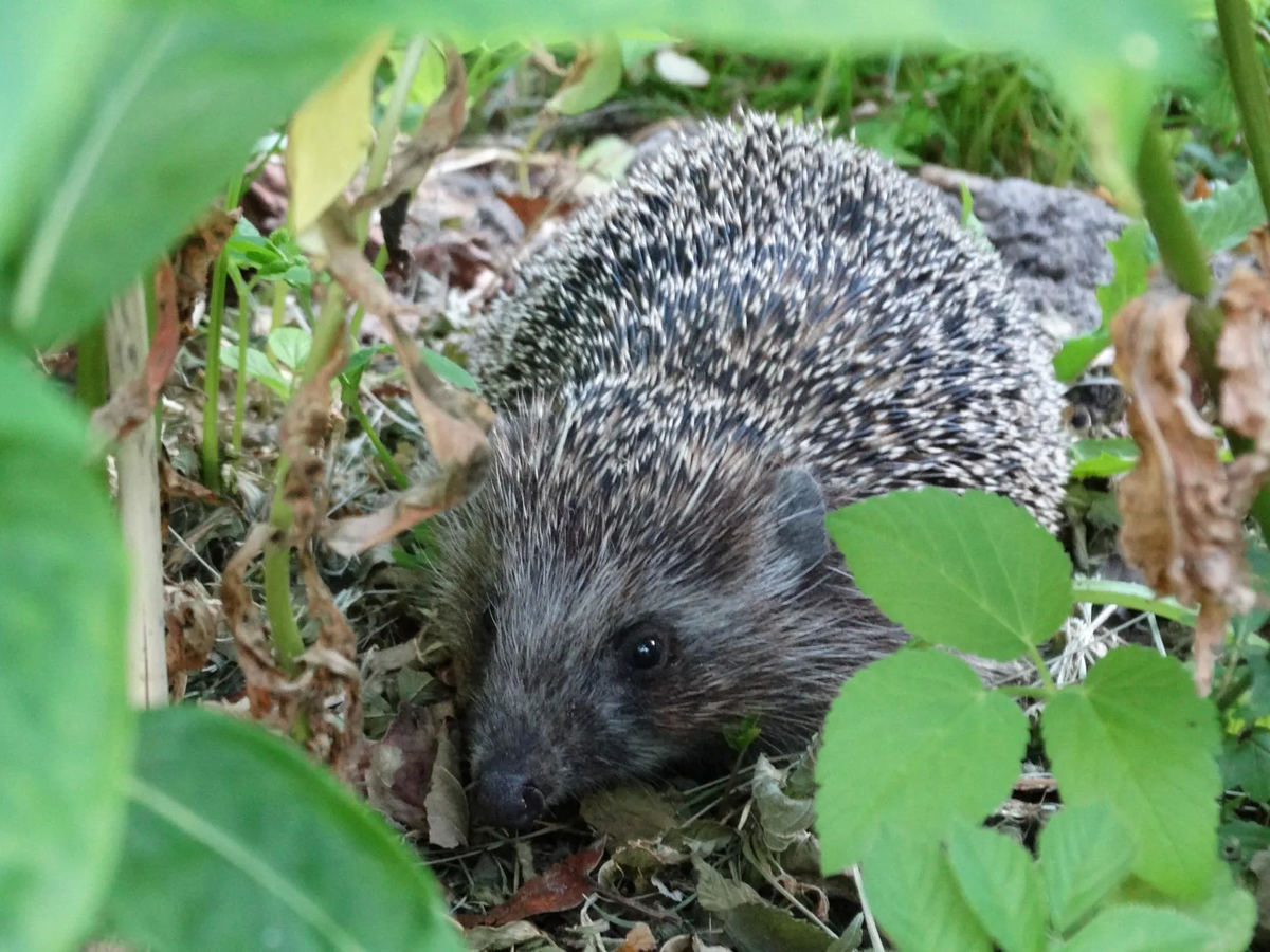 Все фото автора