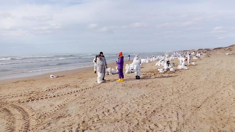    Курганинские казаки помогают морю